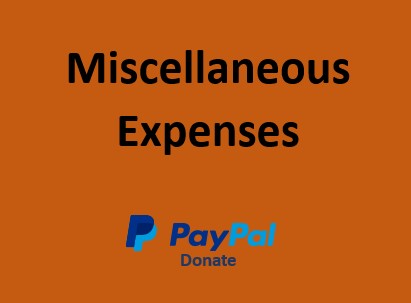 PayPal Donate Icon
